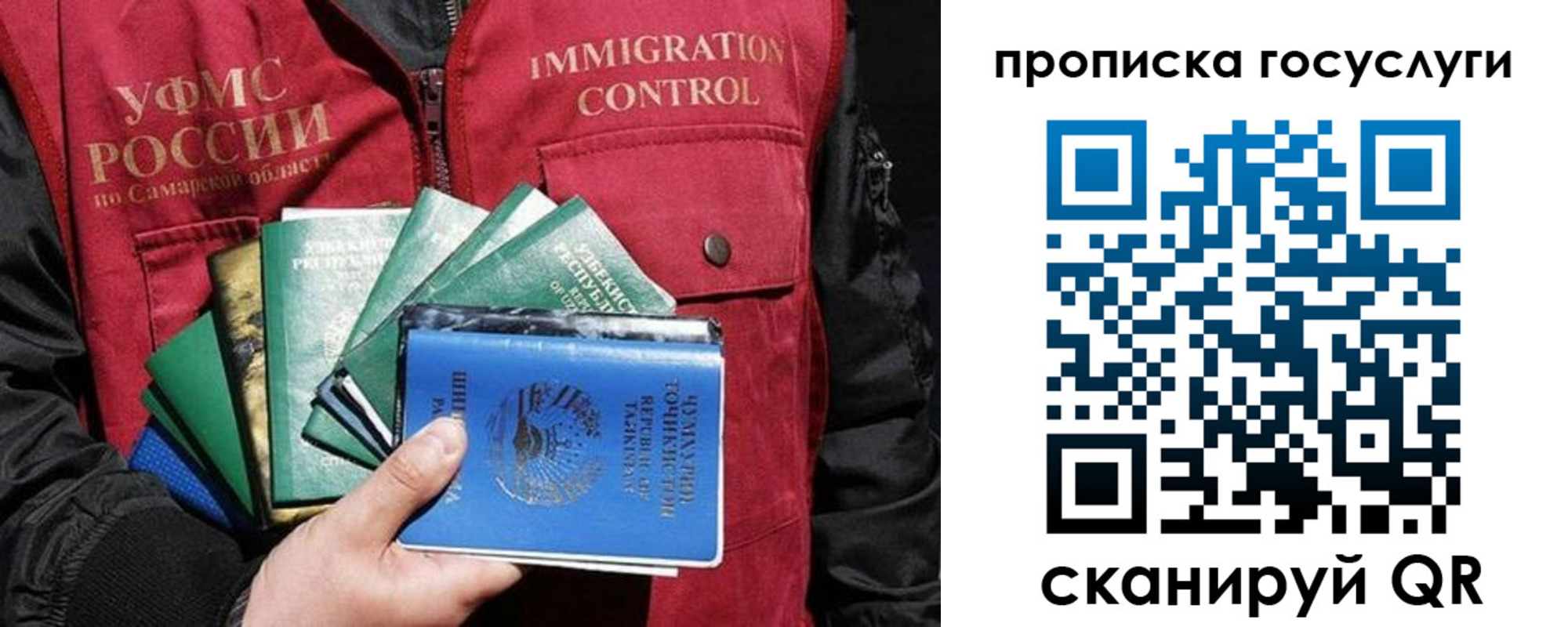 прописка поиск в Пскове